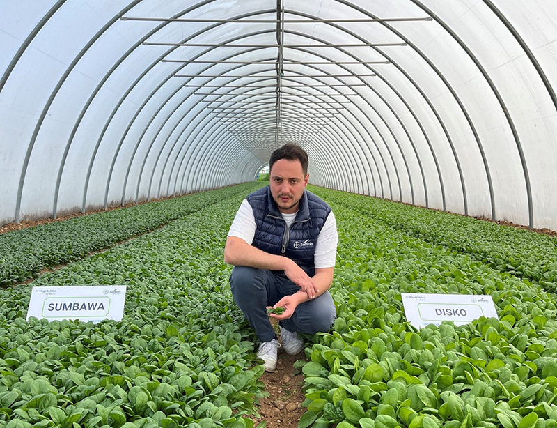 Lorenzo Castelli, Sales Representative per Seminis
